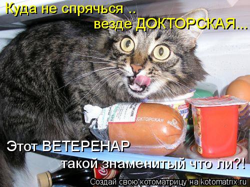 Котоматрица: Куда не спрячься .. везде ДОКТОРСКАЯ... Этот ВЕТЕРЕНАР такой знаменитый что ли?!