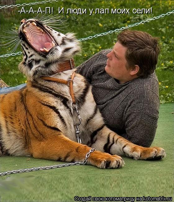 Котоматрица: -А-А-А-П!  И люди у лап моих сели!