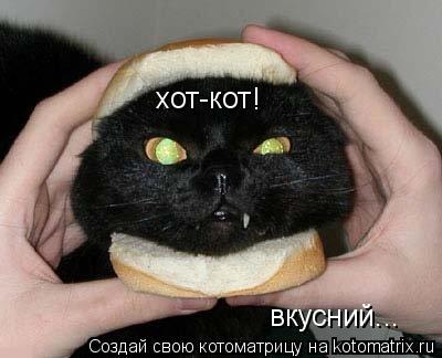 хот-кот вкусний... !... Котоматрица: хот-кот вкусний... !