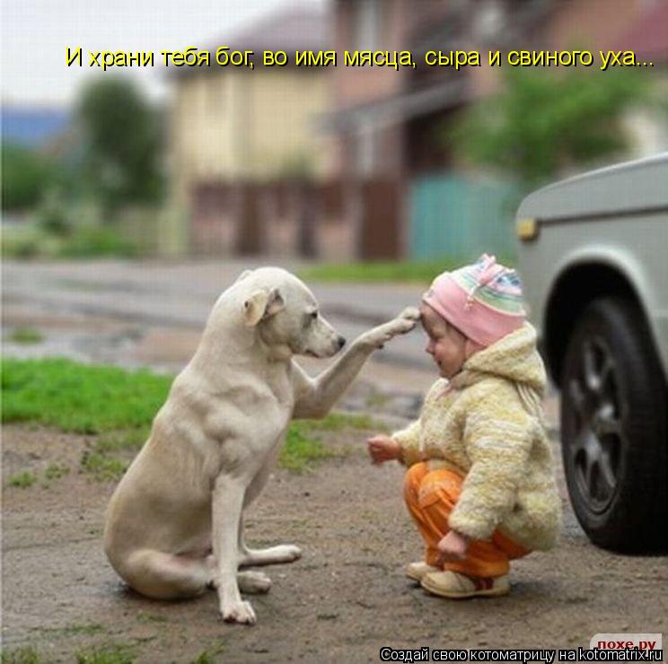 И храни тебя бог, во имя мясца, сыра и свиного уха...... Котоматрица: И храни тебя бог, во имя мясца, сыра и свиного уха...