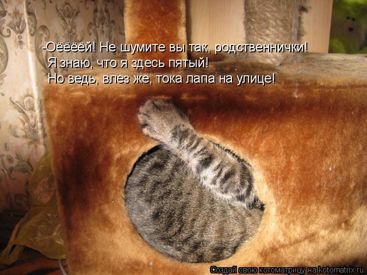 -Оёёёёй! Не шумите вы так, родственнички! Я знаю, что я здесь пятый! Но ведь, влез же, тока лапа на у... Котоматрица: -Оёёёёй! Не шумите вы так, родственнички! Я знаю, что я здесь пятый! Но ведь, влез же, тока лапа на улице!