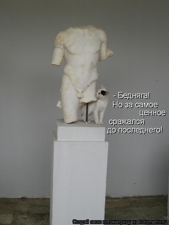 Котоматрица: - Бедняга!  Но за самое ценное сражался до последнего!