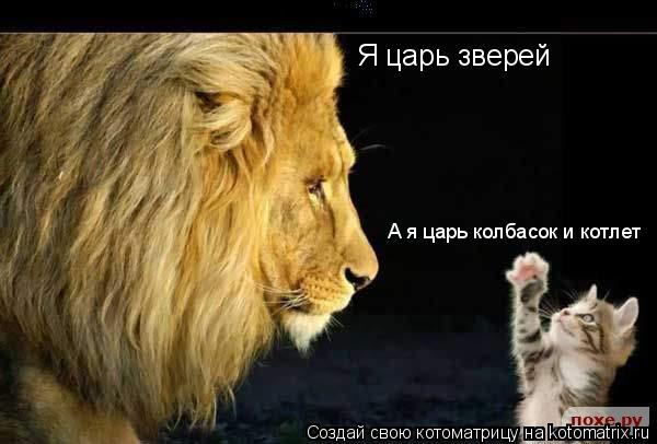 Я царь зверей А я царь колбасок и котлет... Котоматрица: Я царь зверей А я царь колбасок и котлет