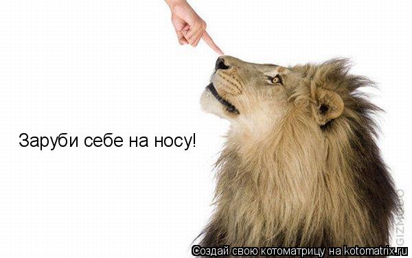 Котоматрица: Заруби себе на носу!