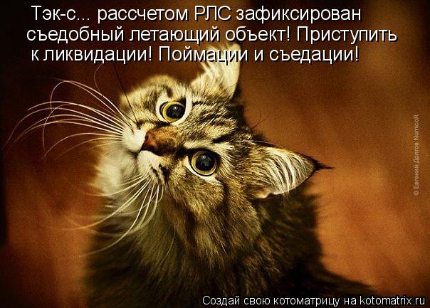Котоматрица: Тэк-с... рассчетом РЛС зафиксирован съедобный летающий объект! Приступить к ликвидации! Поймации и съедации!