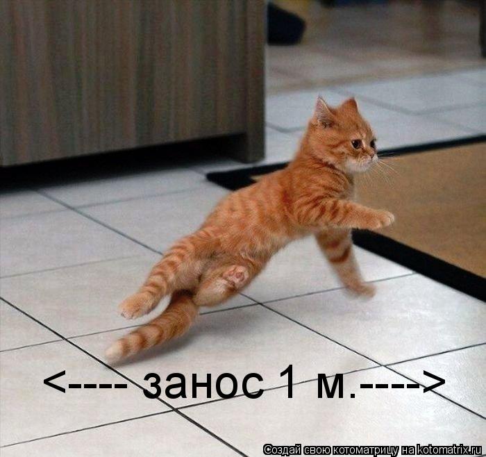Котоматрица: <---- занос 1 м.---->