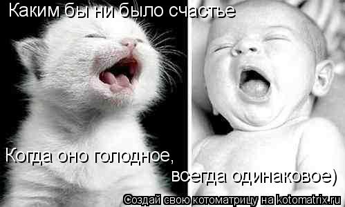 Котоматрица: Каким бы ни было счастье Когда оно голодное, всегда одинаковое)