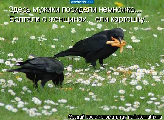 Здесь мужики посидели немножко... Болтали о женщинах... ели картошку...... Котоматрица: Здесь мужики посидели немножко... Болтали о женщинах... ели картошку...