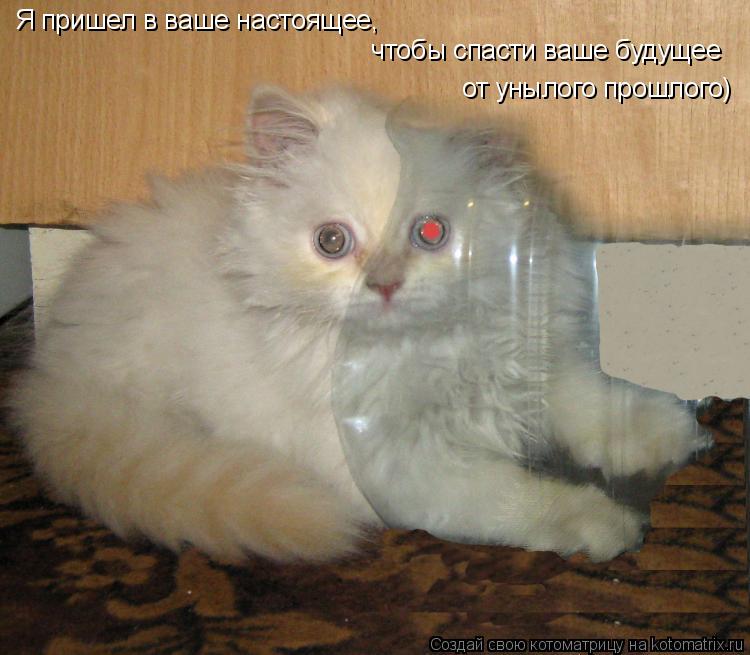 Я пришел в ваше настоящее, чтобы спасти ваше будущее от унылого прошлого)... Котоматрица: Я пришел в ваше настоящее, чтобы спасти ваше будущее от унылого прошлого)