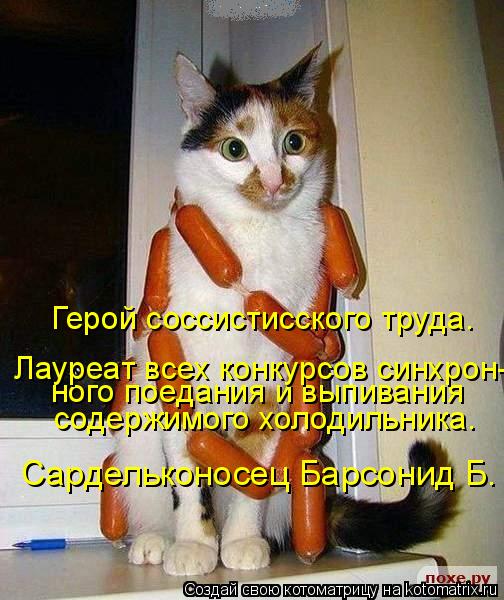 Герой соссистисского труда. ного поедания и выпивания Лауреат всех конкурсов синхрон- содержимого хол... Котоматрица: Герой соссистисского труда. ного поедания и выпивания Лауреат всех конкурсов синхрон- содержимого холодильника. Сардельконосец Барсонид