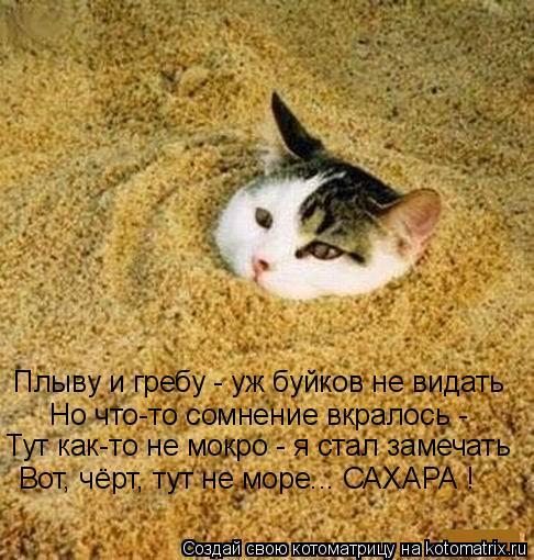 Плыву и гребу - уж буйков не видать Но что-то сомнение вкралось - Тут как-то не мокро - я стал замеча... Котоматрица: Плыву и гребу - уж буйков не видать Но что-то сомнение вкралось - Тут как-то не мокро - я стал замечать Вот, чёрт, тут не море... САХАРА !