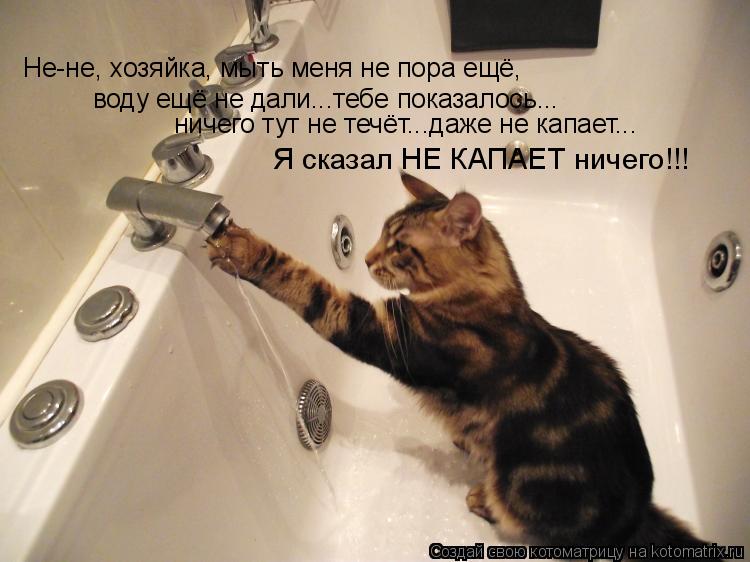 Не-не, хозяйка, мыть меня не пора ещё, воду ещё не дали...тебе показалось... ничего тут не течёт...да... Котоматрица: Не-не, хозяйка, мыть меня не пора ещё, воду ещё не дали...тебе показалось... ничего тут не течёт...даже не капает... Я сказал НЕ КАПАЕТ ничего!!!