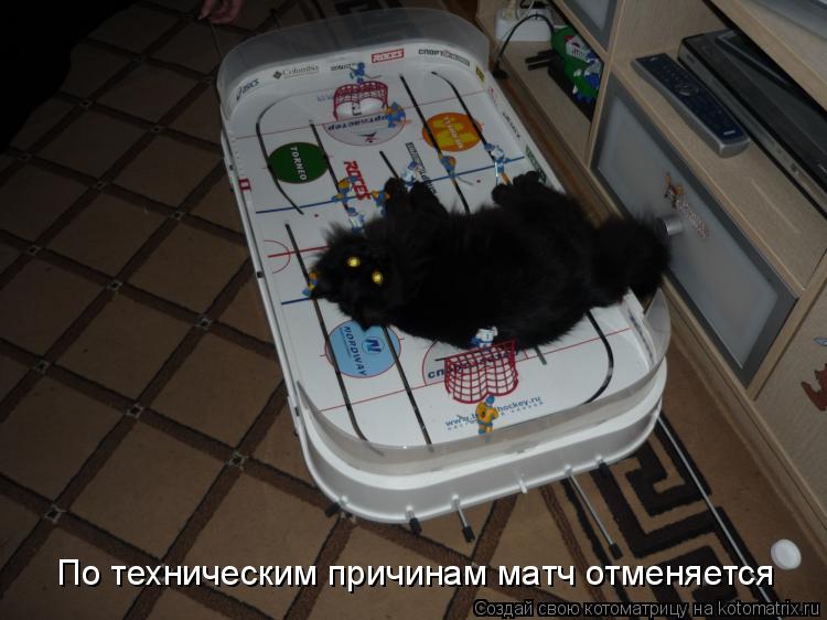 По техническим причинам матч отменяется... Котоматрица: По техническим причинам матч отменяется