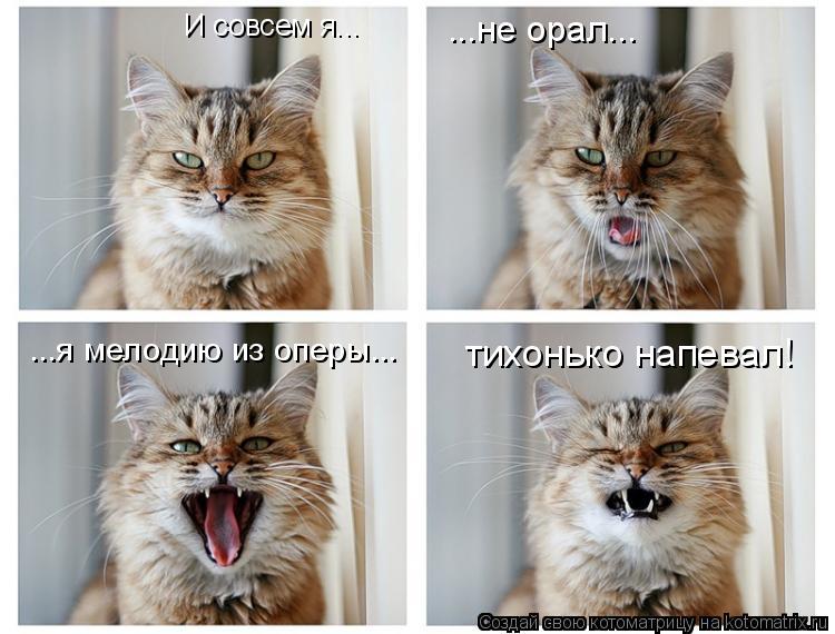 И совсем я... ...не орал... ...я мелодию из оперы... тихонько напевал!... Котоматрица: И совсем я... ...не орал... ...я мелодию из оперы... тихонько напевал!