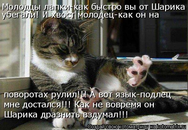 Молодцы лапки-как быстро вы от Шарика убегали! И хвост молодец-как он на поворотах рулил!!! А вот яз... Котоматрица: Молодцы лапки-как быстро вы от Шарика убегали! И хвост молодец-как он на поворотах рулил!!! А вот язык-подлец мне достался!!! Как не вовремя о