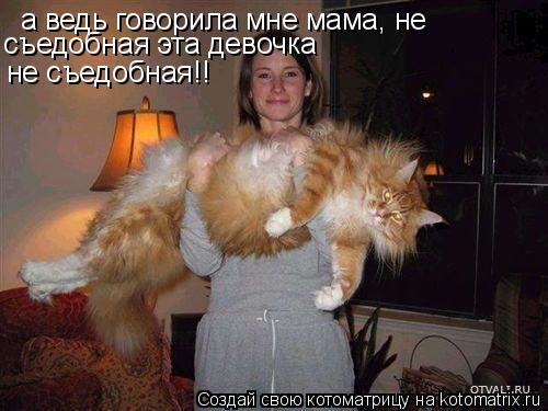 а ведь говорила мне мама, не съедобная эта девочка не съедобная!!... Котоматрица: а ведь говорила мне мама, не съедобная эта девочка не съедобная!!