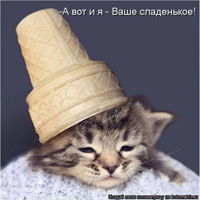 -А вот и я - Ваше сладенькое!... Котоматрица: -А вот и я - Ваше сладенькое!