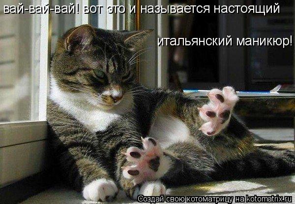 вай-вай-вай! вот это и называется настоящий итальянский маникюр!... Котоматрица: вай-вай-вай! вот это и называется настоящий итальянский маникюр!