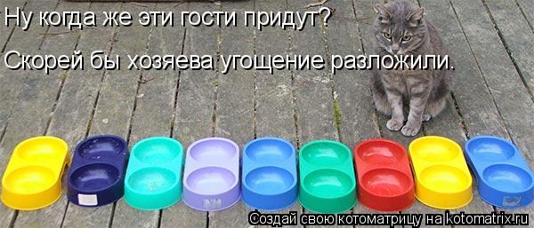 Ну когда же эти гости придут? Скорей бы хозяева угощение разложили.... Котоматрица: Ну когда же эти гости придут? Скорей бы хозяева угощение разложили.