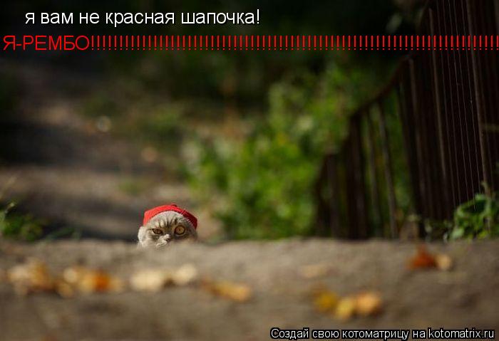 я вам не красная шапочка! Я-РЕМБО!!!!!!!!!!!!!!!!!!!!!!!!!!!!!!!!!!!!!!!!!!!!!!!!!!!!!!!!!!!!!!!!!!!!... Котоматрица: я вам не красная шапочка! Я-РЕМБО!!!!!!!!!!!!!!!!!!!!!!!!!!!!!!!!!!!!!!!!!!!!!!!!!!!!!!!!!!!!!!!!!!!!!!!!