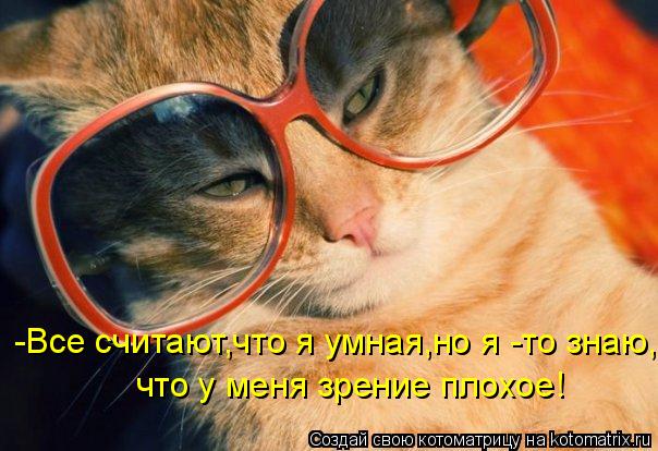 -Все считают,что я умная,но я -то знаю, что у меня зрение плохое!... Котоматрица: -Все считают,что я умная,но я -то знаю, что у меня зрение плохое!