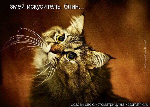 змей-искуситель, блин...... Котоматрица: змей-искуситель, блин...