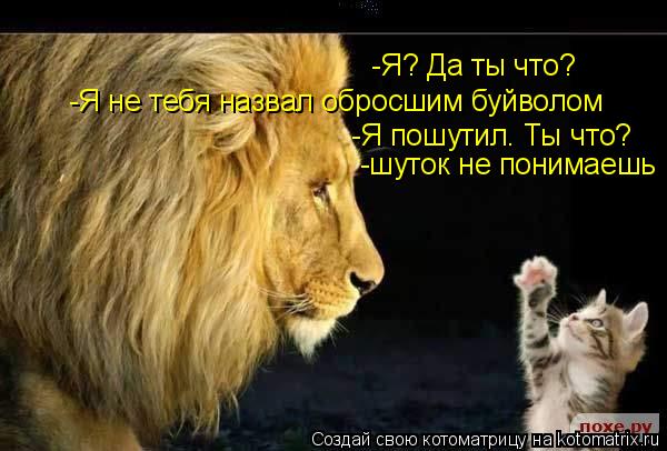 -Я? Да ты что? -Я не тебя назвал обросшим буйволом -Я пошутил. Ты что? -шуток не понимаешь... Котоматрица: -Я? Да ты что? -Я не тебя назвал обросшим буйволом -Я пошутил. Ты что? -шуток не понимаешь