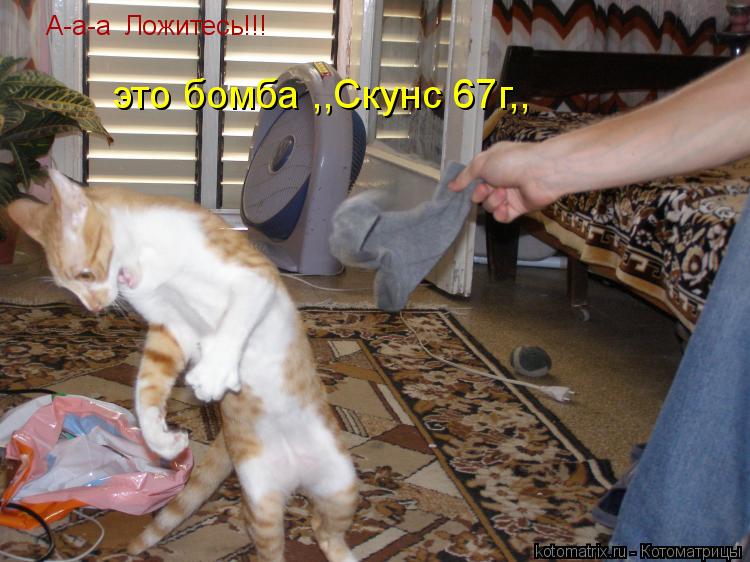 А-а-а Ложитесь!!! это бомба ,,Скунс 67г,,... Котоматрица: А-а-а Ложитесь!!! это бомба ,,Скунс 67г,,