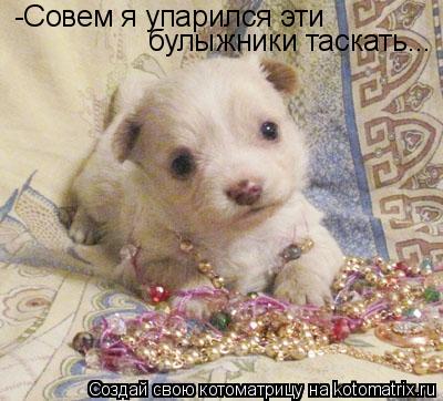 -Совем я упарился эти булыжники таскать...... Котоматрица: -Совем я упарился эти булыжники таскать...