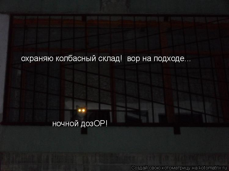 ночной дозОР! охраняю колбасный склад! вор на подходе...... Котоматрица: ночной дозОР! охраняю колбасный склад! вор на подходе...