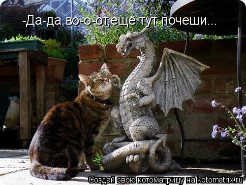 -Да-да,во-о-от,ещё тут почеши...... Котоматрица: -Да-да,во-о-от,ещё тут почеши...