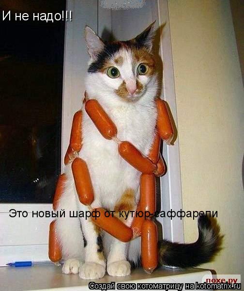 И не надо!!! Это новый шарф от кутюр-саффарели... Котоматрица: И не надо!!! Это новый шарф от кутюр-саффарели