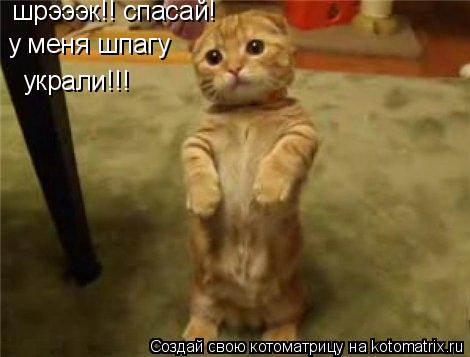 шрэээк!! спасай! у меня шпагу украли!!!... Котоматрица: шрэээк!! спасай! у меня шпагу украли!!!