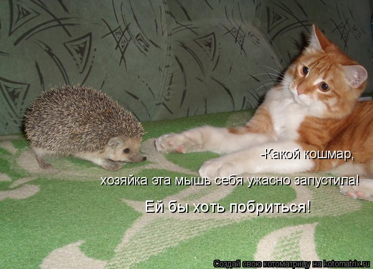 -Какой кошмар, хозяйка эта мышь себя ужасно запустила! Ей бы хоть побриться!... Котоматрица: -Какой кошмар, хозяйка эта мышь себя ужасно запустила! Ей бы хоть побриться!