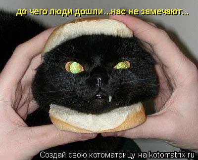 до чего люди дошли...нас не замечают...... Котоматрица: до чего люди дошли...нас не замечают...