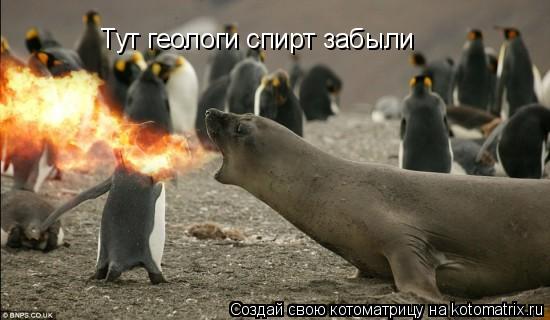 Тут геологи спирт забыли... Котоматрица: Тут геологи спирт забыли