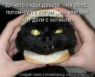 до чего люди дошли... на обед потом-суп с котом... на завтрак хот доги с котиком...... Котоматрица: до чего люди дошли... на обед потом-суп с котом... на завтрак хот доги с котиком...