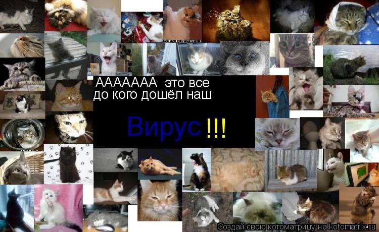 ААААААА это все до кого дошёл наш Вирус !!!... Котоматрица: ААААААА это все до кого дошёл наш Вирус !!!