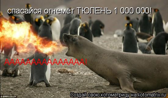 спасайся огнемёт ТЮЛЕНЬ 1 000 000! ААААААААААААААА!... Котоматрица: спасайся огнемёт ТЮЛЕНЬ 1 000 000! ААААААААААААААА!