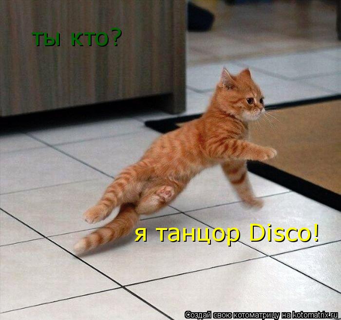 ты кто? я танцор Disco!... Котоматрица: ты кто? я танцор Disco!
