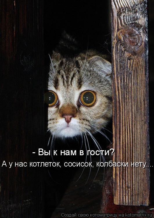 - Вы к нам в гости? А у нас котлеток, сосисок, колбаски нету....... Котоматрица: - Вы к нам в гости? А у нас котлеток, сосисок, колбаски нету....