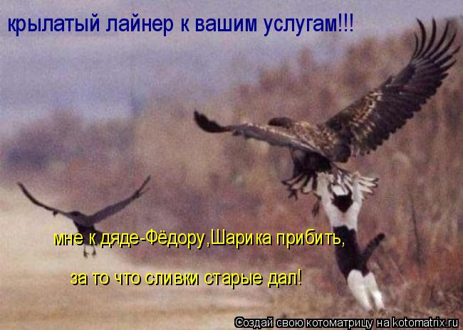 крылатый лайнер к вашим услугам!!! мне к дяде-Фёдору,Шарика прибить, за то что сливки старые дал!... Котоматрица: крылатый лайнер к вашим услугам!!! мне к дяде-Фёдору,Шарика прибить, за то что сливки старые дал!