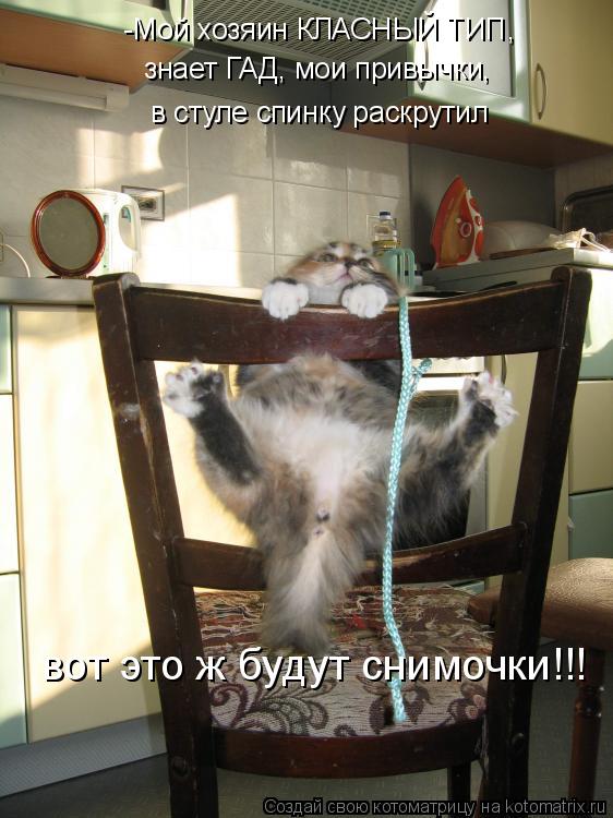 -Мой хозяин КЛАСНЫЙ ТИП, знает ГАД, мои привычки, в стуле спинку раскрутил вот это ж будут снимочки!... Котоматрица: -Мой хозяин КЛАСНЫЙ ТИП, знает ГАД, мои привычки, в стуле спинку раскрутил вот это ж будут снимочки!!!