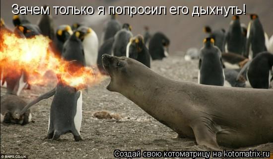 Зачем только я попросил его дыхнуть!... Котоматрица: Зачем только я попросил его дыхнуть!