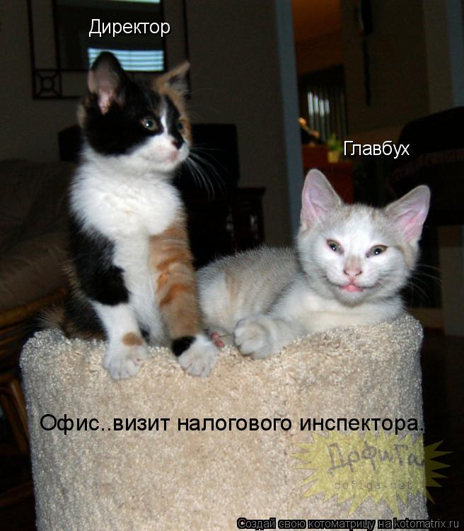 Директор Главбух Офис..визит налогового инспектора...... Котоматрица: Директор Главбух Офис..визит налогового инспектора...