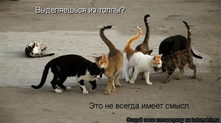 Выделяешься из толпы? Это не всегда имеет смысл...... Котоматрица: Выделяешься из толпы? Это не всегда имеет смысл...