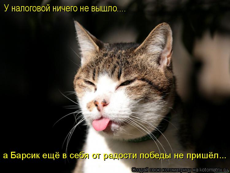 У налоговой ничего не вышло.... а Барсик ещё в себя от радости победы не пришёл...... Котоматрица: У налоговой ничего не вышло.... а Барсик ещё в себя от радости победы не пришёл...