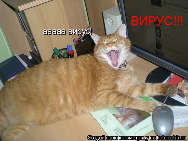 ааааа вирус! ВИРУС!!!... Котоматрица: ааааа вирус! ВИРУС!!!