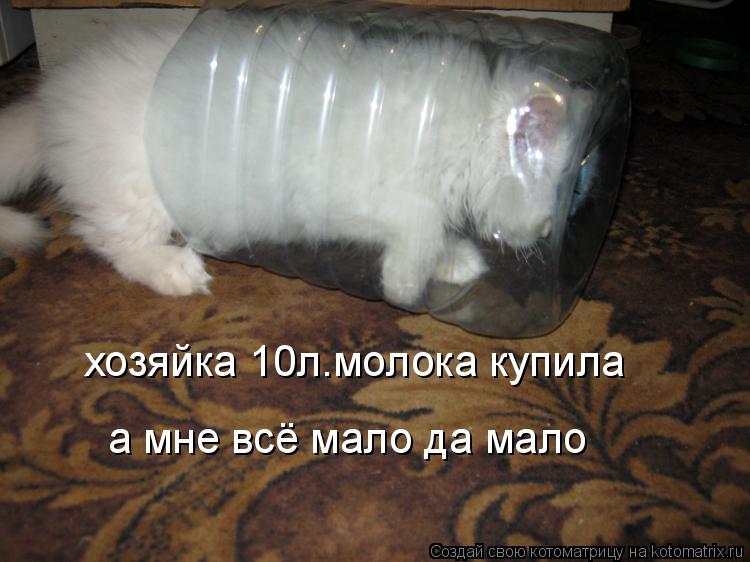 хозяйка 10л.молока купила а мне всё мало да мало... Котоматрица: хозяйка 10л.молока купила а мне всё мало да мало