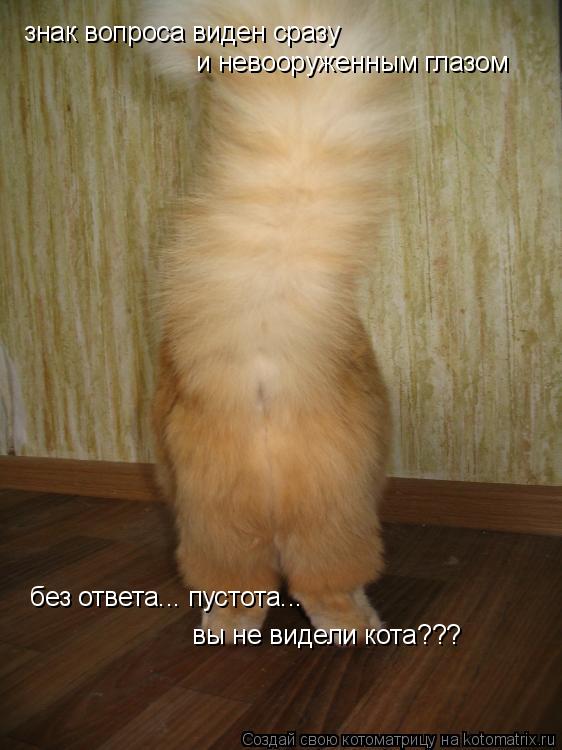 знак вопроса виден сразу и невооруженным глазом без ответа... пустота... вы не видели кота???... Котоматрица: знак вопроса виден сразу и невооруженным глазом без ответа... пустота... вы не видели кота???